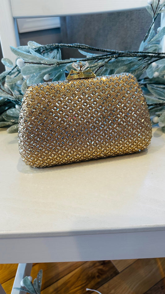 Champagne Shimmer Clutch Bag