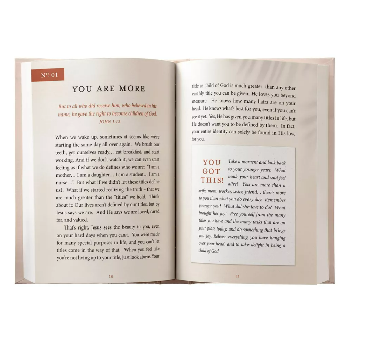 You Got This: 90 Devotions To Empower Hardworking Women's Book