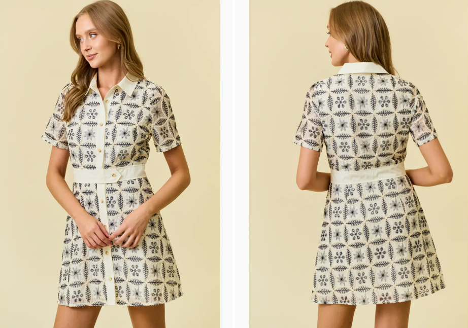 Doe and Rae Embroidered Mini Dress with Contrast Collar