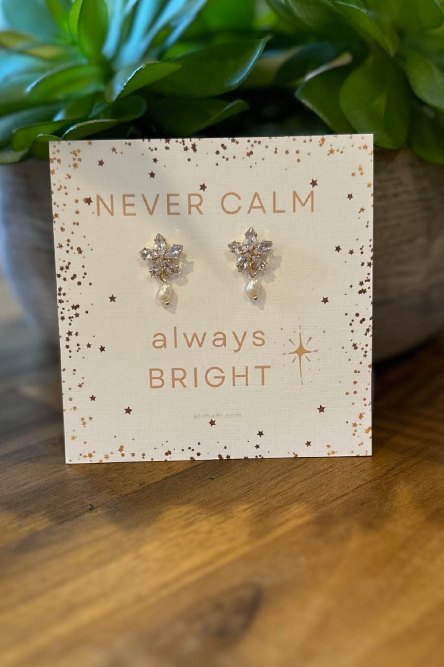 Never Calm Always Bright Star Earrings