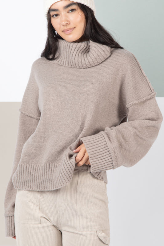 Plus Size Mocha Turtleneck Sweater